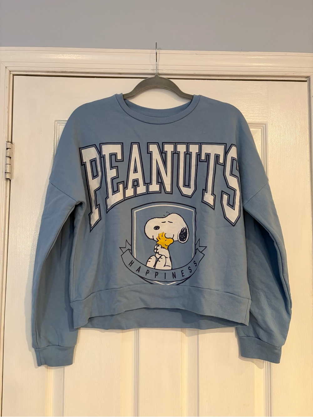 Peanuts Light Blue Crewneck